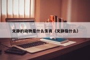 文静的动物是什么生肖（文静指什么）