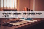 电子游戏的名称是什么（电子游戏的名称是什么意思）