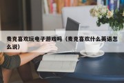麦克喜欢玩电子游戏吗（麦克喜欢什么英语怎么说）