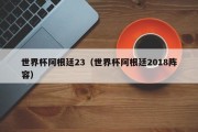 世界杯阿根廷23（世界杯阿根廷2018阵容）